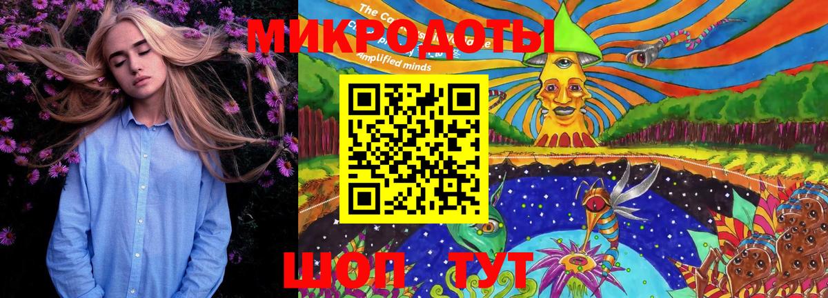Галлюциногенные грибы мухоморы Новосибирск
