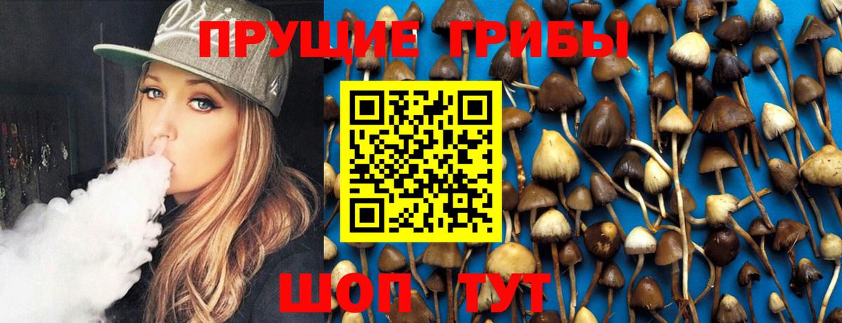 Новосибирск  Галлюциногенные грибы мухоморы  Вход с VPN 